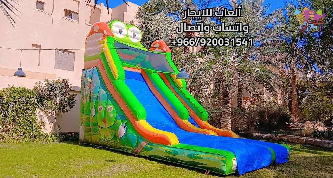 5913322561414565022_121.jpg